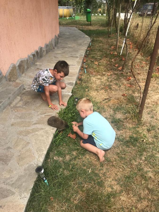 Стаи За Гости Тони Ribarica Εξωτερικό φωτογραφία